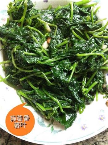 蒜蓉炒番薯叶怎么做，蒜蓉炒番薯叶怎么做好吃，蒜蓉炒番薯叶做法