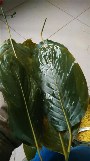 南方过年必备-粽子怎么做，南方过年必备-粽子怎么做好吃，南方过年必备-粽子做法