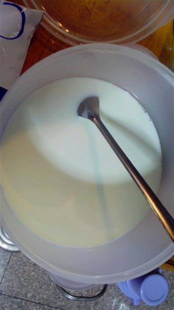 自制浓稠酸奶怎么做，自制浓稠酸奶怎么做好吃，自制浓稠酸奶做法
