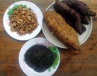 养生黄金核桃芝麻饼怎么做，养生黄金核桃芝麻饼怎么做好吃，养生黄金核桃芝麻饼做法