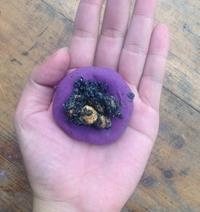 养生黄金核桃芝麻饼怎么做，养生黄金核桃芝麻饼怎么做好吃，养生黄金核桃芝麻饼做法