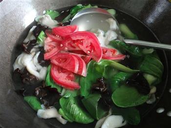 青菜蘑菇汤怎么做，青菜蘑菇汤怎么做好吃，青菜蘑菇汤做法