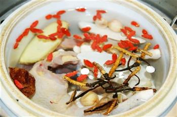 虫草淮杞炖鹧鸪怎么做，虫草淮杞炖鹧鸪怎么做好吃，虫草淮杞炖鹧鸪做法