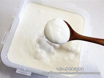 少加点料做出醇香的原味酸奶怎么做，少加点料做出醇香的原味酸奶怎么做好吃，少加点料做出醇香的原味酸奶做法
