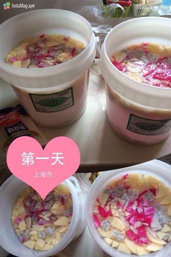 火龙果，苹果，梨，混合酵素怎么做，火龙果，苹果，梨，混合酵素怎么做好吃，火龙果，苹果，梨，混合酵素做法