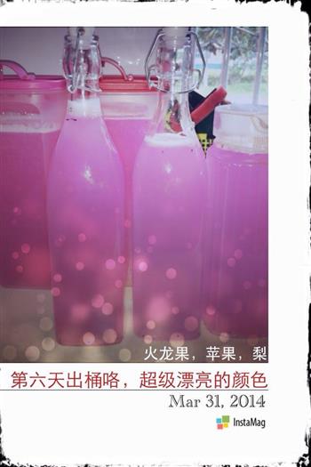 火龙果，苹果，梨，混合酵素怎么做，火龙果，苹果，梨，混合酵素怎么做好吃，火龙果，苹果，梨，混合酵素做法
