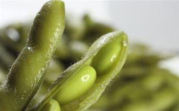 秘制煮毛豆怎么做，秘制煮毛豆怎么做好吃，秘制煮毛豆做法