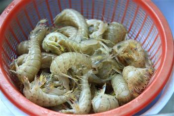 生腌虾姑怎么做，生腌虾姑怎么做好吃，生腌虾姑做法