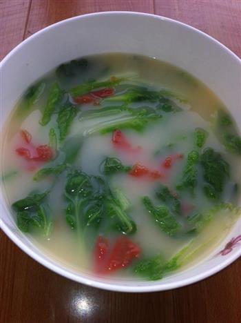 番茄鲫鱼小白菜汤怎么做，番茄鲫鱼小白菜汤怎么做好吃，番茄鲫鱼小白菜汤做法