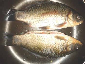 河鲫鱼塞肉怎么做，河鲫鱼塞肉怎么做好吃，河鲫鱼塞肉做法