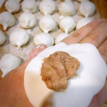 上海宁爱吃的鲜肉汤圆怎么做，上海宁爱吃的鲜肉汤圆怎么做好吃，上海宁爱吃的鲜肉汤圆做法