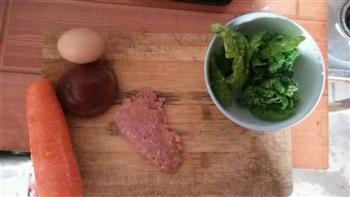 肉沫蔬菜糯米圆子怎么做，肉沫蔬菜糯米圆子怎么做好吃，肉沫蔬菜糯米圆子做法