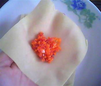 胡萝卜鲜肉馄饨怎么做，胡萝卜鲜肉馄饨怎么做好吃，胡萝卜鲜肉馄饨做法