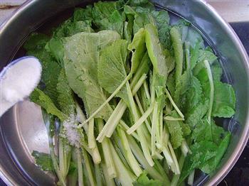 小白菜海米包怎么做，小白菜海米包怎么做好吃，小白菜海米包做法