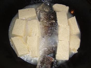 冻豆腐烧鲫鱼怎么做，冻豆腐烧鲫鱼怎么做好吃，冻豆腐烧鲫鱼做法