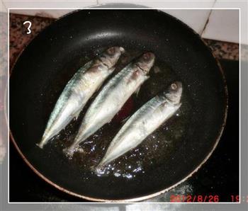 香煎光标海鱼怎么做，香煎光标海鱼怎么做好吃，香煎光标海鱼做法