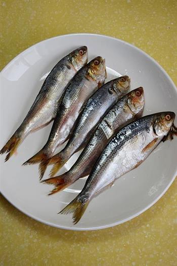 香煎青鳞鱼怎么做,香煎青鳞鱼怎么做好吃,香煎青鳞鱼做法 香煎青鳞鱼怎么做,香煎青鳞鱼怎么做好吃,香煎青鳞鱼做法