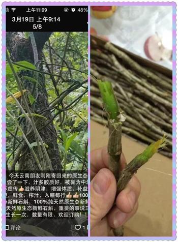 石斛陈皮水鸭汤怎么做，石斛陈皮水鸭汤怎么做好吃，石斛陈皮水鸭汤做法