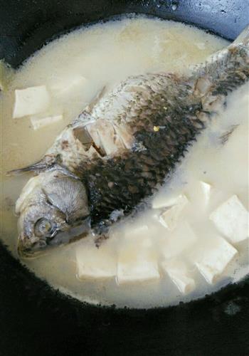 草鱼豆腐汤怎么做，草鱼豆腐汤怎么做好吃，草鱼豆腐汤做法