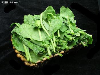豌豆尖豆腐汤怎么做，豌豆尖豆腐汤怎么做好吃，豌豆尖豆腐汤做法