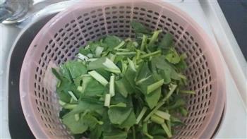 素炒拨鱼子怎么做，素炒拨鱼子怎么做好吃，素炒拨鱼子做法