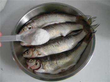 舌尖上的美食-油煎华子鱼怎么做，舌尖上的美食-油煎华子鱼怎么做好吃，舌尖上的美食-油煎华子鱼做法