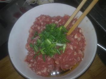 香烙肉饼怎么做，香烙肉饼怎么做好吃，香烙肉饼做法