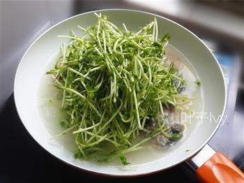 五分钟快手汤-上汤黑豆芽怎么做，五分钟快手汤-上汤黑豆芽怎么做好吃，五分钟快手汤-上汤黑豆芽做法