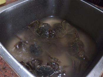 姜蓉清蒸大闸蟹怎么做，姜蓉清蒸大闸蟹怎么做好吃，姜蓉清蒸大闸蟹做法