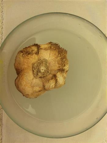猴头菇养胃汤怎么做，猴头菇养胃汤怎么做好吃，猴头菇养胃汤做法