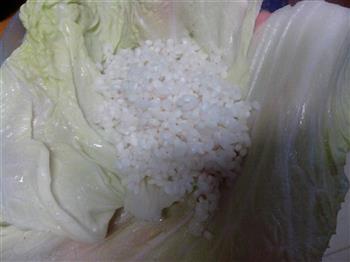 白菜皮糯米烧卖怎么做，白菜皮糯米烧卖怎么做好吃，白菜皮糯米烧卖做法
