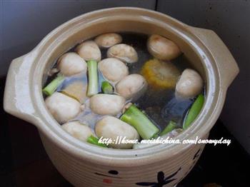 田园乌鸡汤怎么做，田园乌鸡汤怎么做好吃，田园乌鸡汤做法