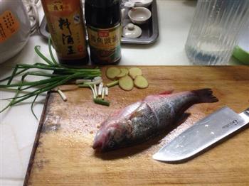 小熊家清蒸鲈鱼怎么做，小熊家清蒸鲈鱼怎么做好吃，小熊家清蒸鲈鱼做法