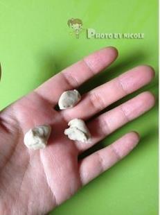 蘑菇莜面鱼鱼怎么做，蘑菇莜面鱼鱼怎么做好吃，蘑菇莜面鱼鱼做法