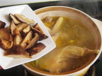 香菇木耳母鸡煲怎么做，香菇木耳母鸡煲怎么做好吃，香菇木耳母鸡煲做法