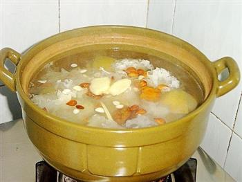 双雪杏仁瘦肉汤怎么做，双雪杏仁瘦肉汤怎么做好吃，双雪杏仁瘦肉汤做法