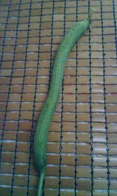 丝瓜毛豆汤怎么做，丝瓜毛豆汤怎么做好吃，丝瓜毛豆汤做法