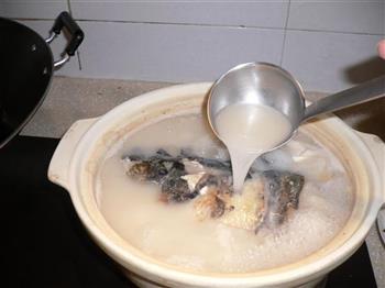 香煎鱼头豆腐汤怎么做，香煎鱼头豆腐汤怎么做好吃，香煎鱼头豆腐汤做法