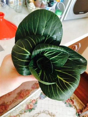 小清新版酱烧油菜怎么做，小清新版酱烧油菜怎么做好吃，小清新版酱烧油菜做法