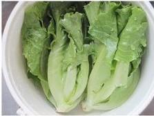 油醋汁蔬菜沙拉怎么做,油醋汁蔬菜沙拉怎么做好吃,油醋汁蔬菜沙拉做法 油醋汁蔬菜沙拉怎么做,油醋汁蔬菜沙拉怎么做好吃,油醋汁蔬菜沙拉做法