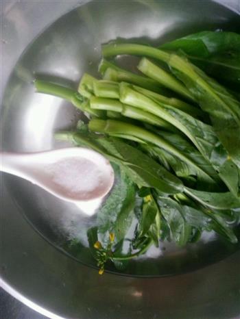 油淋菜心-乌江榨菜怎么做，油淋菜心-乌江榨菜怎么做好吃，油淋菜心-乌江榨菜做法