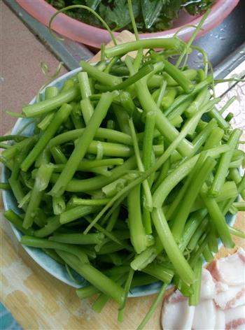 清炒南瓜苗怎么做，清炒南瓜苗怎么做好吃，清炒南瓜苗做法