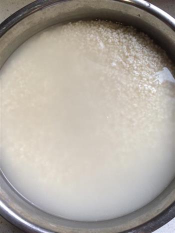 新手包粽子怎么做，新手包粽子怎么做好吃，新手包粽子做法