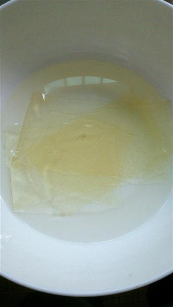 夏日倾情-椰奶冻怎么做，夏日倾情-椰奶冻怎么做好吃，夏日倾情-椰奶冻做法