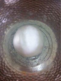 其实在家做虾饺很容易怎么做，其实在家做虾饺很容易怎么做好吃，其实在家做虾饺很容易做法