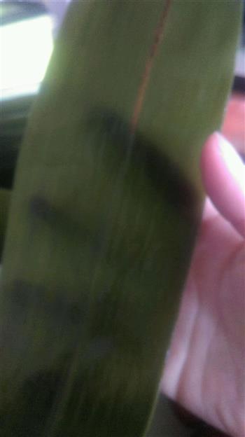 蜜枣豆沙粽子怎么做，蜜枣豆沙粽子怎么做好吃，蜜枣豆沙粽子做法