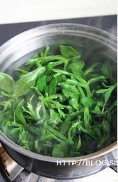 凉拌田七菜怎么做，凉拌田七菜怎么做好吃，凉拌田七菜做法