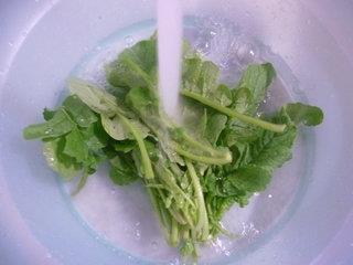 萝卜苗豆腐汤怎么做，萝卜苗豆腐汤怎么做好吃，萝卜苗豆腐汤做法