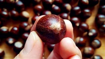 糖桂花炒栗子怎么做，糖桂花炒栗子怎么做好吃，糖桂花炒栗子做法