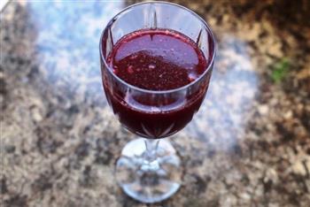 西班牙果酒 Sangria怎么做，西班牙果酒 Sangria怎么做好吃，西班牙果酒 Sangria做法